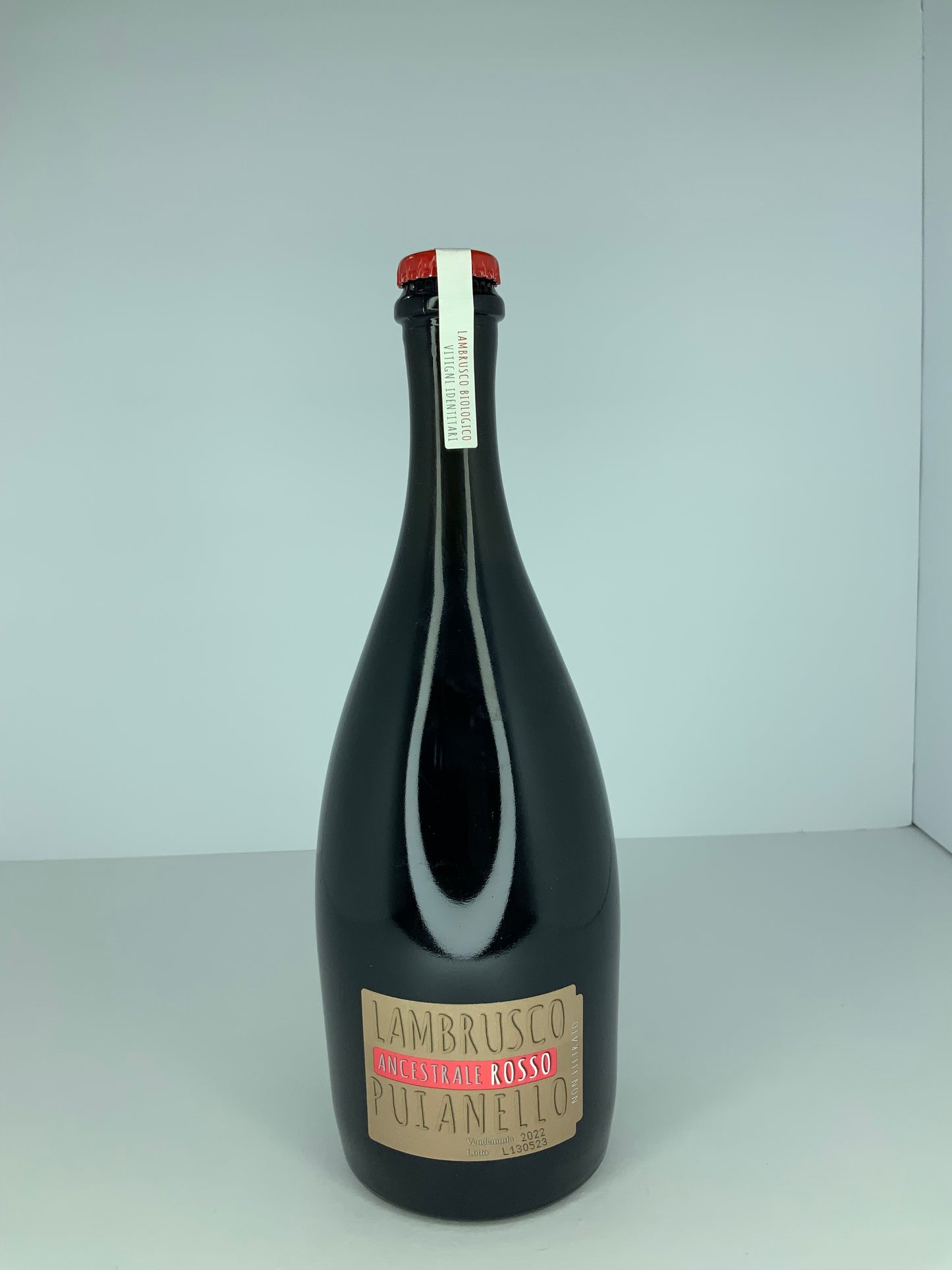 Lambrusco Ancestrale Rosso 2022