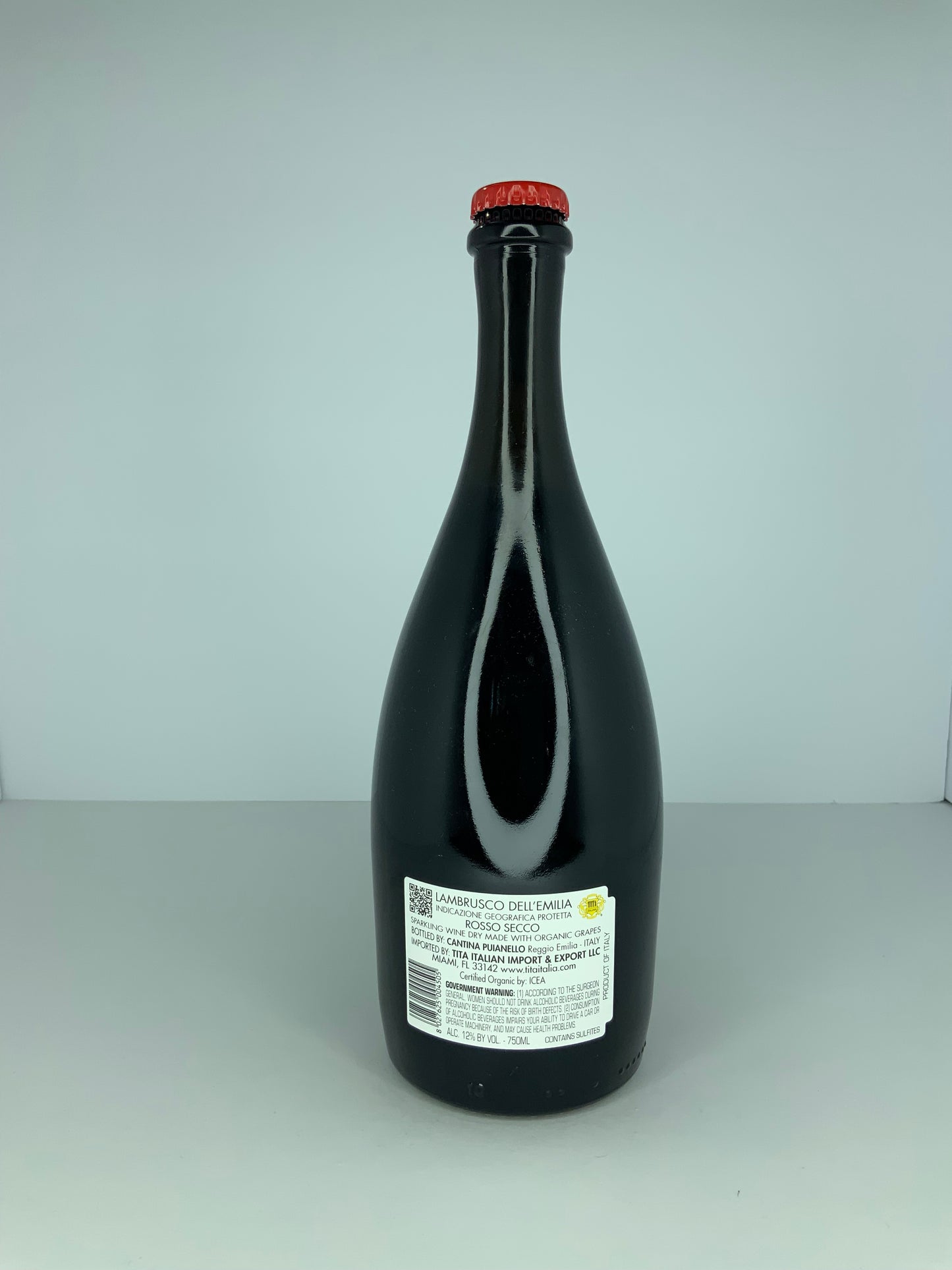 Lambrusco Ancestrale Rosso 2022