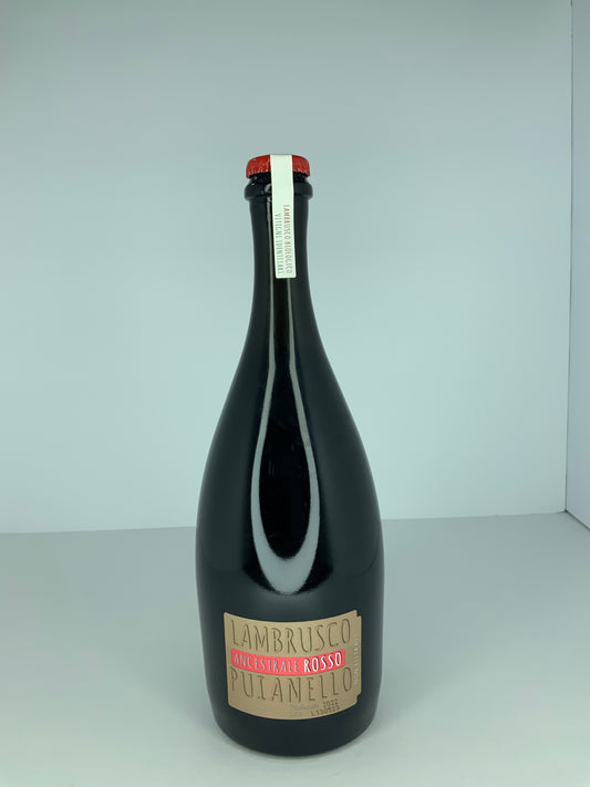 Lambrusco Ancestrale Rosso 2022
