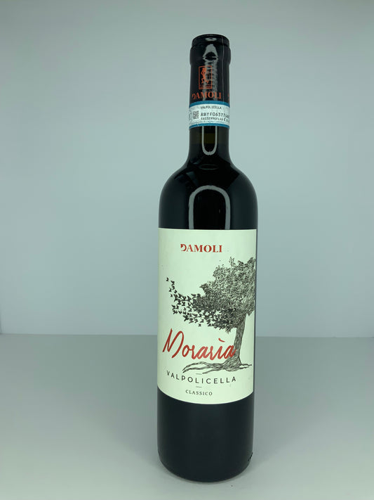 Valpolicella Classico 2020